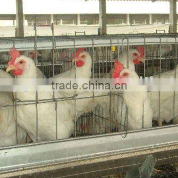 Poultry cages