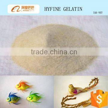 beef skin glue industrial grade gelatin adhesive