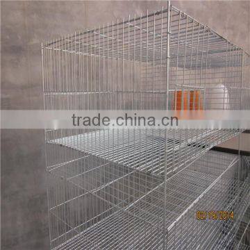 Hot Sale 3/4/5 Tiers chicken cage layer chicken cage/layer chicken cage for chicken farm for sri lanka