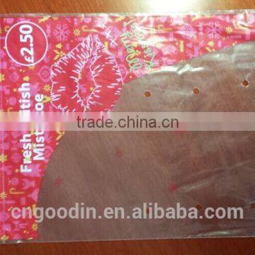 FPP self-adhesion printing bag with hook