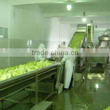 Custom Design Fruit And Vegetable Processing Line Machines