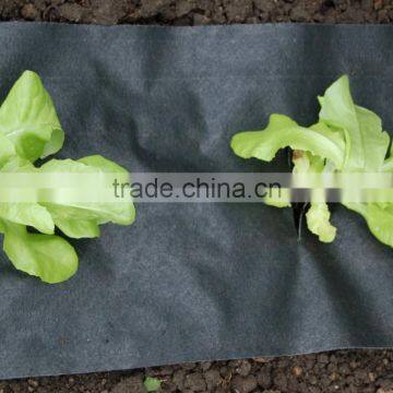 Black Plastic Ground Cover Mesh photo-4