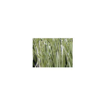 Oliver Green PE Fake Football Artificial Grass Turf Lawns 50mm 9800Dtex