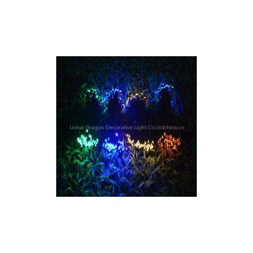 LED solar light, LED holiday string light/ festival light/decorative light, wedding /party / decorative light