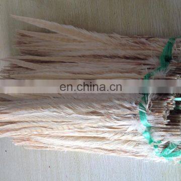 White Color Ringneck Pheasant Feathers photo-3