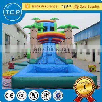 Hot Selling Giant Sale Large Water Slide Inflatable Toy for Fun photo-3