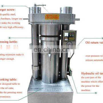 Top Selling Hydraulic Rapeseed Oil Press Machine photo-3
