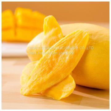 Mango Slice Drying Machine photo-5
