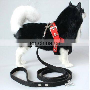 Eyeglass Shaped Pet Collar Leash Training Dog Pulling Rope Pet Neck Chain Pet Supplies photo-7