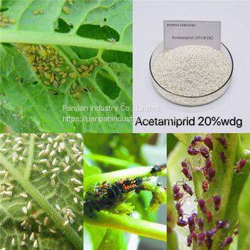 Insecticide Acetamiprid 20wdg Acetamiprid Agriculture Acetamipride for Rice photo-2