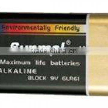 9V Primary Alkaline Batteries