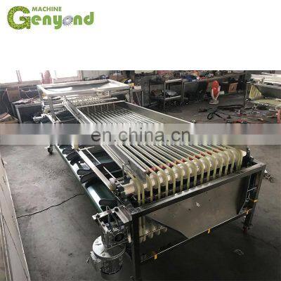 Custom Fresh Medjool Dates Sorting Machine for Vegetable and Fruit Sorter photo-5