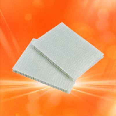 Amazon's Hot Sales Pickleball photo-3