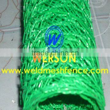 Chicken Wire Netting photo-6