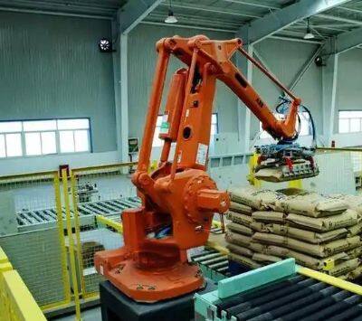 25kg Bag Palletizing Machine Automatic Palletizer Machine