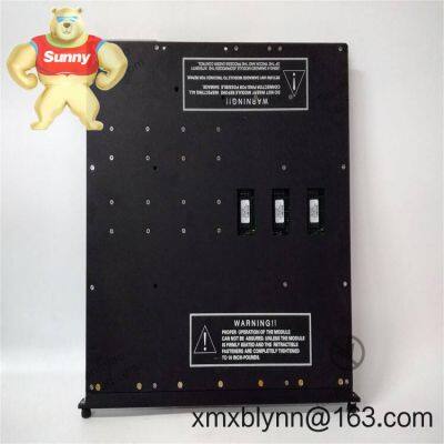 TRICONEX 3617E – High‑Integrity Temperature/RTD Input Module for Tricon TMR Safety Systems