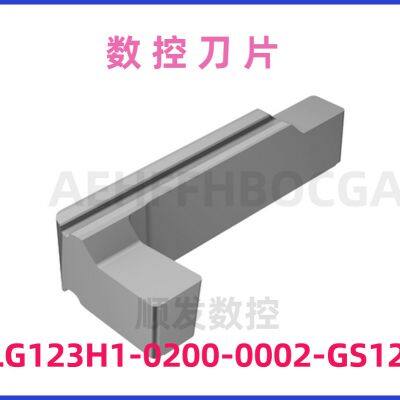Sandvik Cemented Carbide CNC Cutting Inserts LG123H1-0200-0002-GS1205