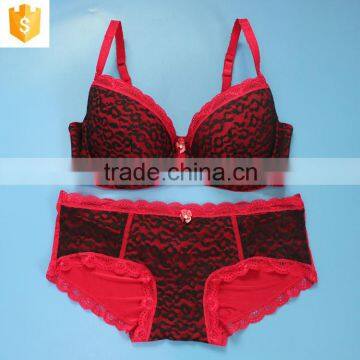 Alibaba cheap price hot colorful sexy lace plus size bra set