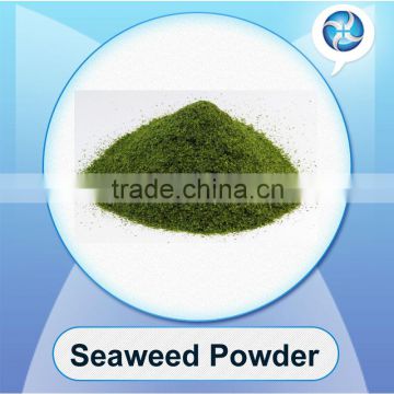 Seaweed powder healthy dry food