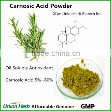 Oil Soluble Antioxidant Carnosic Acid Powder from Rosemary Extract