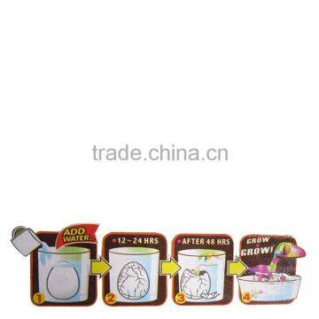 Magic Growing Tortoise Eggs Expand in Water photo-2