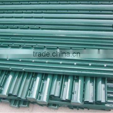 Holland Wire Mesh/Galvanized Welded Wire Mesh/Epoxy Coated Welded Wire Mesh photo-6