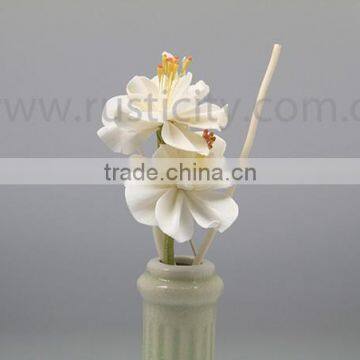 Eco-Friendly Feature Reed Diffuser and Air Fresheners Ceramic Bottle Reed Diffuser photo-6