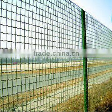 euro wire mesh fence/euro mesh fence netting/euro fence wire mesh