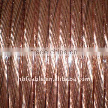 6.Electrician Copper Wire Blank