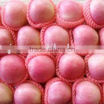 FRESH APPLES FROM CHINA BEST PRICE EXPORT DELICIOUS APPLES QINGUAN