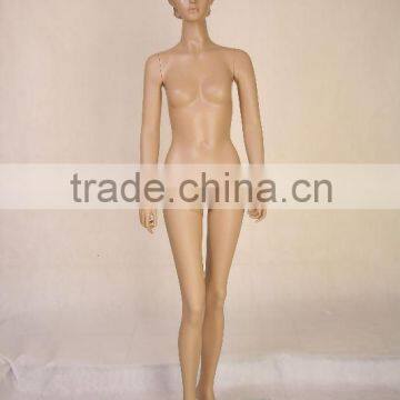 The new added female torso manikin