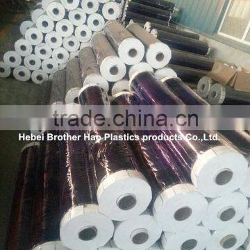 Clear Flexible Pvc Sheet Factory photo-5
