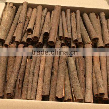 CASSIA TUBE NEW CROP 2016 Cassia Tube/tube Cassia/cassia Stick photo-2