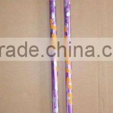 Carbon Fiber NORDIC WALKING STICK