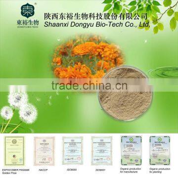 GMP Manufacturer Supply 100% Natural Marigold P.E.