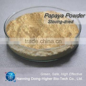 100% Natural High Quality Papaya Powder Factory Supply Dry Papaya Powder photo-2