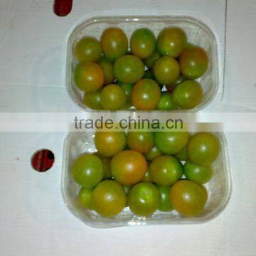 Fresh Tomato photo-6