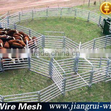 Cattle Panels photo-6