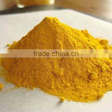 bulk turmeric powder in india