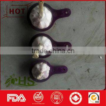 natural red fresh hot sale garlic