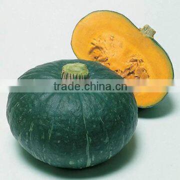 vietnam Fresh Pumpkin cheap