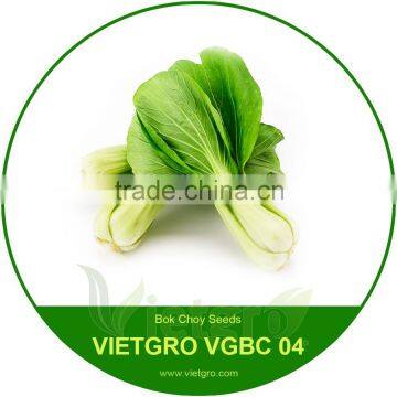 HIGH YIELD BOK CHOY SEEDS VGBC / VEGETABLE SEEDS