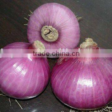 Nutritious Red Onion