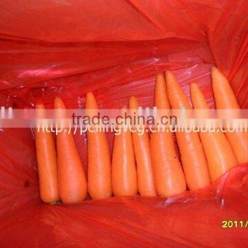 new fresh market carrots(chinese)