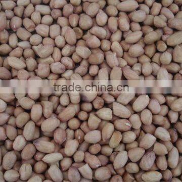 2014 new crop groundnut