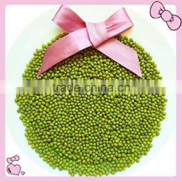 JSX Peeling Sparkled Kidney Beans South Asia Best Quality Green Mung Bean photo-3