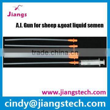 Useful Convenient Durable Instrumental Insemination In Sheep Breeding