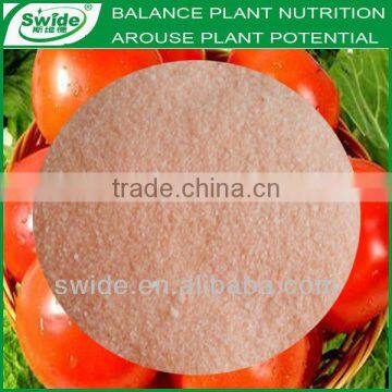 NPK 19:19:19 Fertilizer