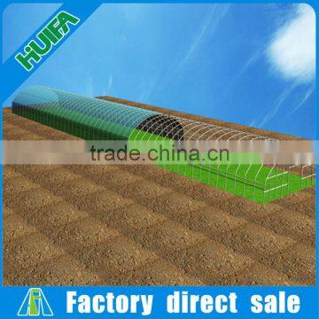 Extruding Plastic Modling Type Single Span Agriculture Greenhouse photo-5