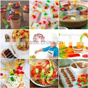 FDA Approved Food Grade High Quality Candy Bear Mold, Silicone Bear Candy Molds photo-6